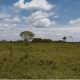 Podrá vender su finca Alarma por nueva circular del Gobierno Petro